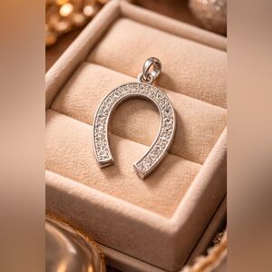 LARGE Silver Tone Crystal Horseshoe Pendant Necklace • Lucky Charm • Statement